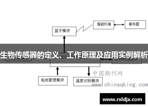 生物传感器的定义、工作原理及应用实例解析